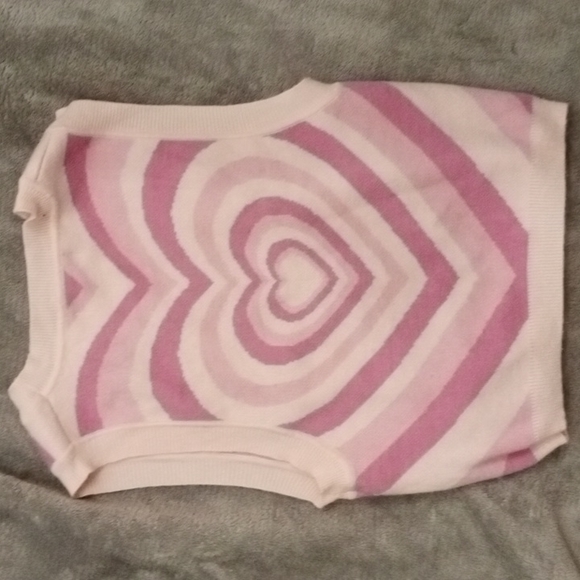 PacSun L.A. HEARTS Aesthetic Sweater vest ๐ - Picture 2 of 3